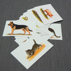 Комплект карточек Домашние животные