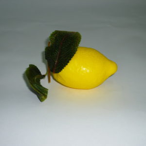 Лимон с листом